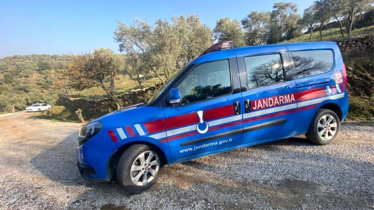 Aydın Germencik'te Elektrik Hırsızları Suçüstü Yakalandı