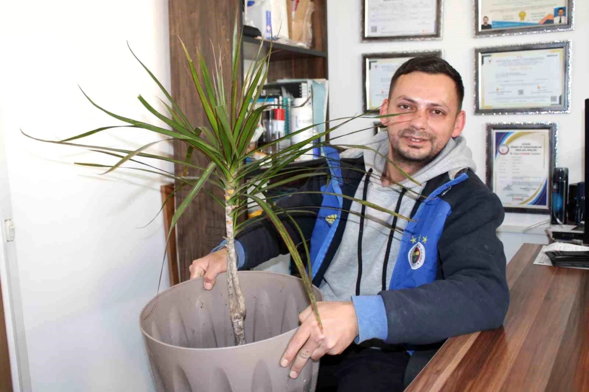 Aydın'da Süs Bitkisi Hırsızlığına Devam
