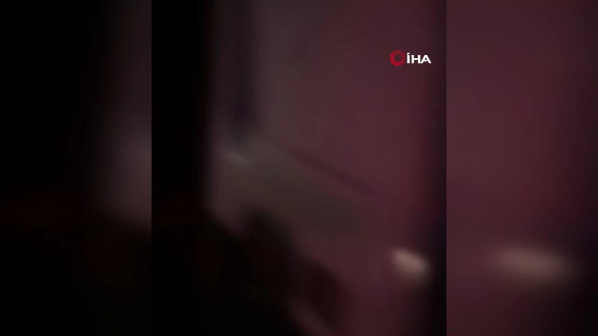 Didim'de 51 düzensiz göçmen, 3 göçmen kaçakçısı yakalandı